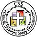 CSS Logo.bmp