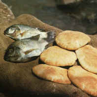 loaves-fishes-tilapia002.jpg