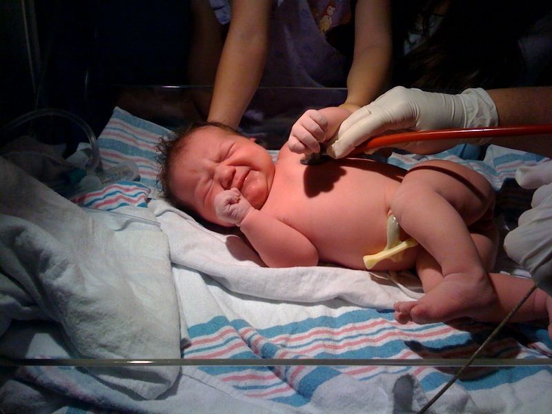 Elizabeth Arabella Rose Ray