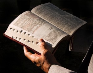 bible11