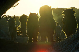 where_the_wild_things_are_6