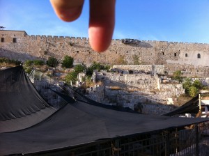 IMG_1875