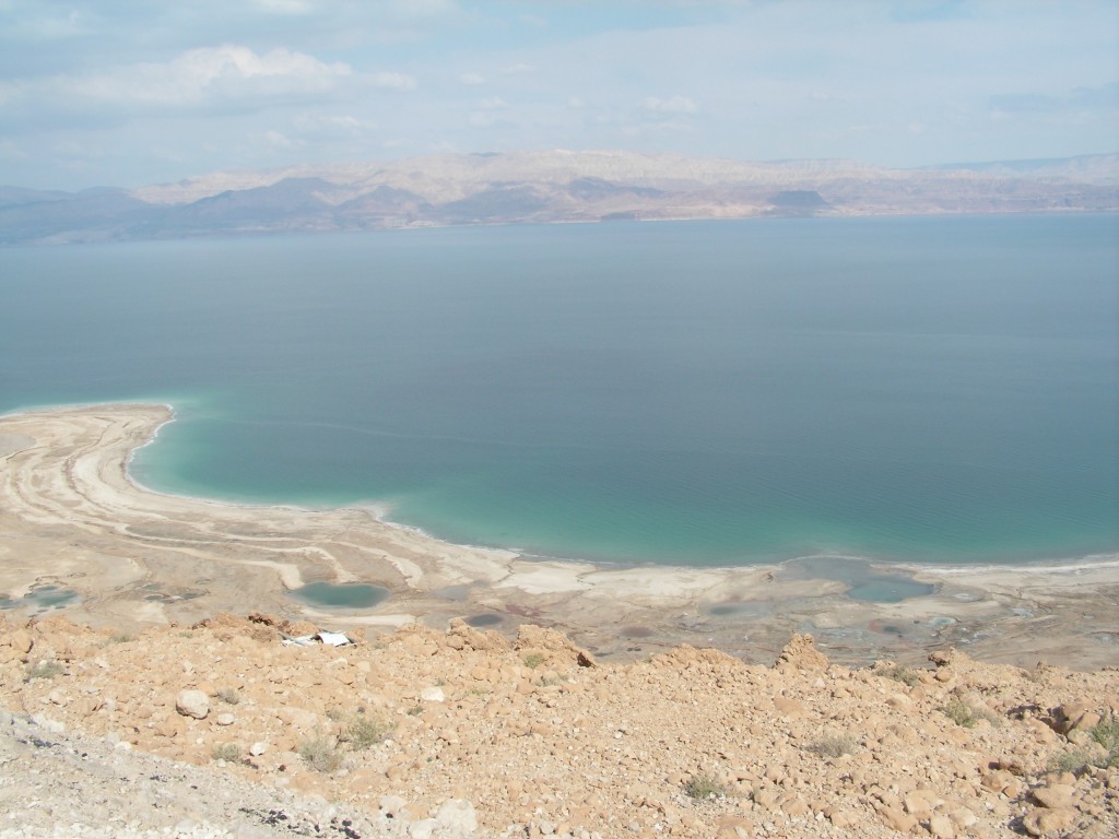 There are Two Seas in Palestine Which One are You Like? Defenders